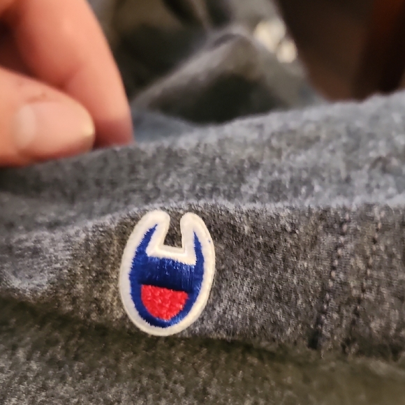 Champion Gray Authentic Tee Waynsburg University Medium - Picture 4 of 4